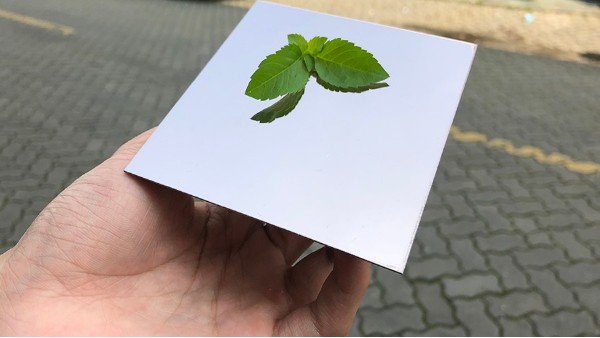 為什么彩色不銹鋼裝飾板會大受歡迎？